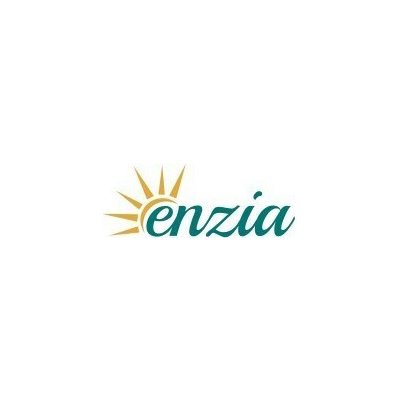 /assets/enzia.png